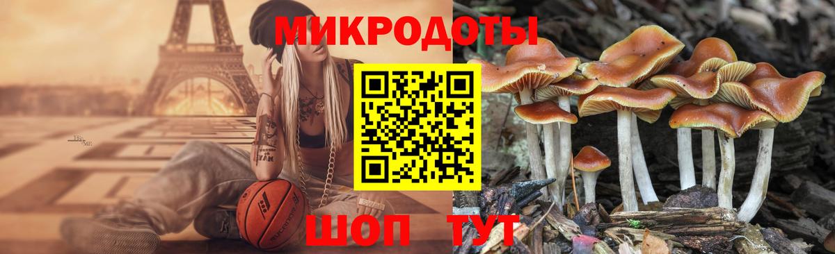 Псилоцибиновые грибы прущие грибы Унеча